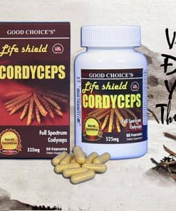 đông trùng hạ thảo Good Choice’s Life Shield Cordyceps