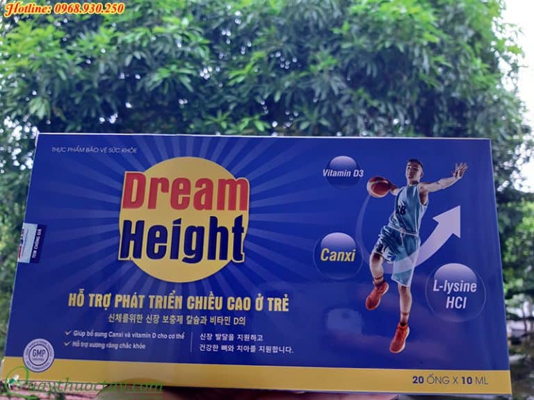 dream height 77