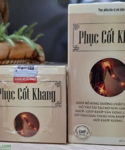 phuc cot khang 4