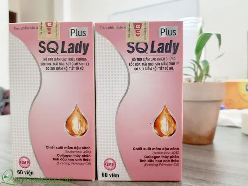 Sq Lady Plus 5