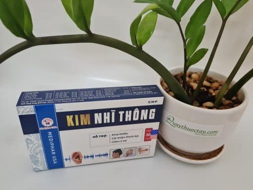 Kim Nhi Thong1