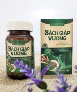 Bach Giap Vuong 1