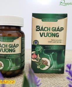 Bach Giap Vuong 2